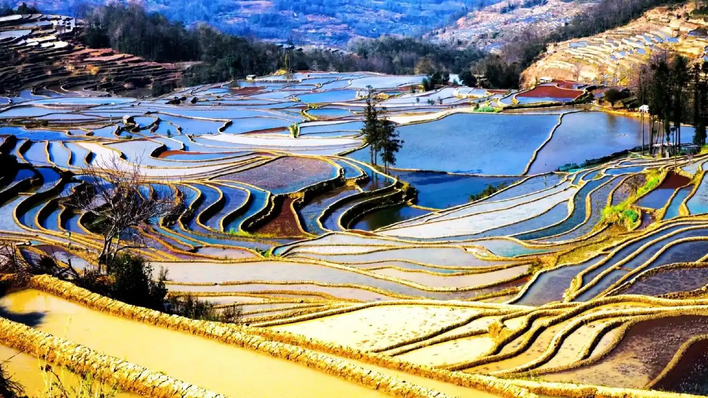 Yunnan Province